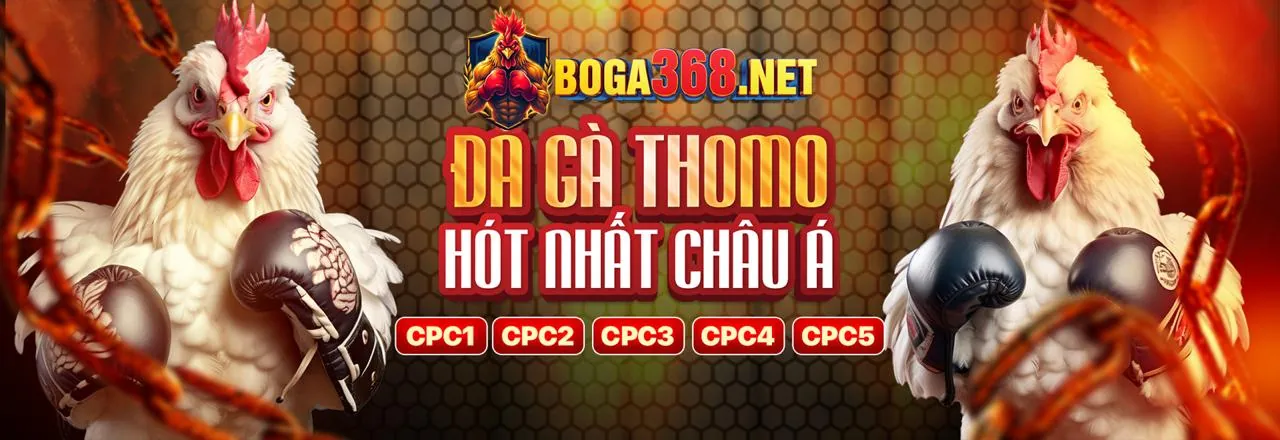 cu bet cam kết cá cược có trách nhiệm và bảo mật