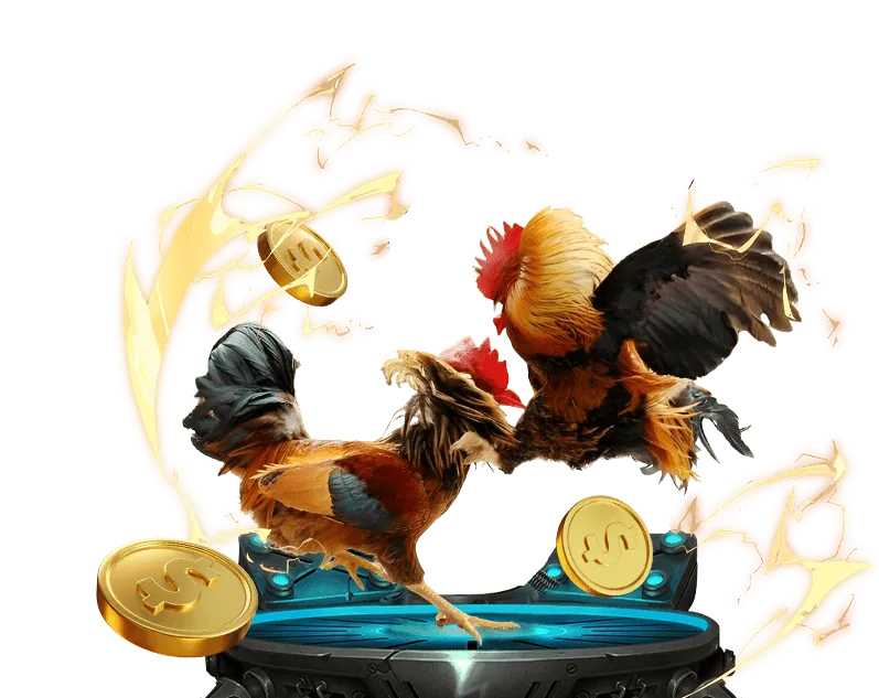 Chương Trình VIP cu bet