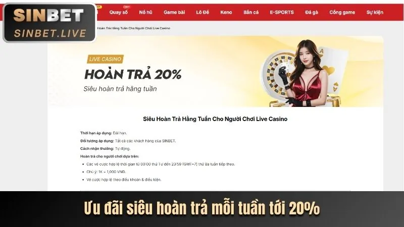 Hoàn Trả Tiền Cược cu bet